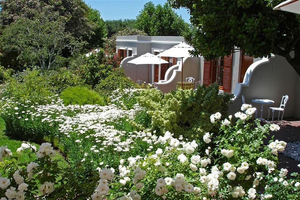 Glen Avon Lodge Boutique Hotel Kapstaden Exteriör bild
